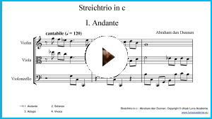 Streichtrio in d - Komposition von Abraham den Dunnen